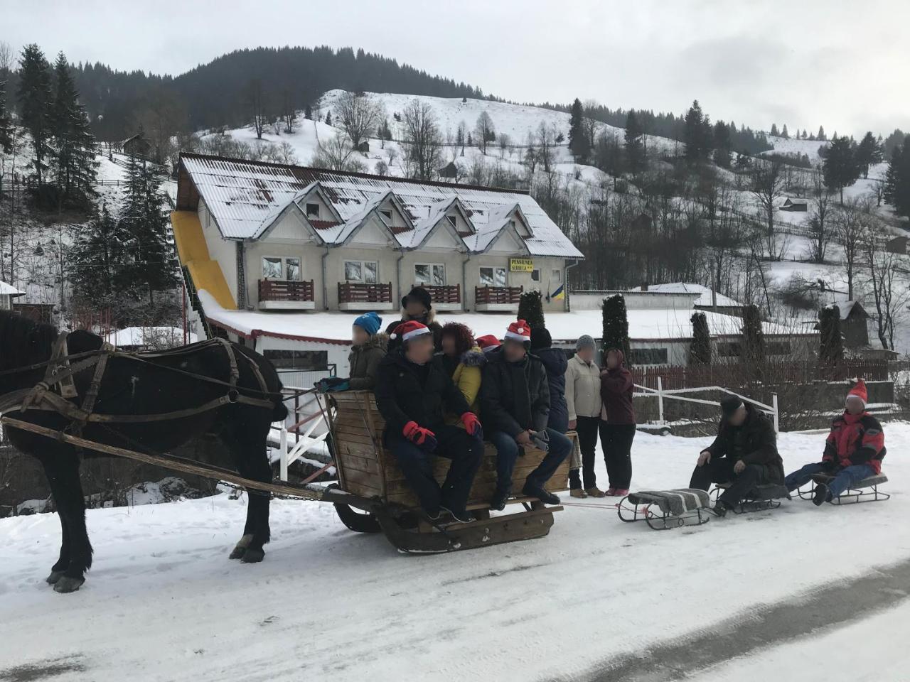 Pensiunea Serbeca Brosteni Exteriör bild